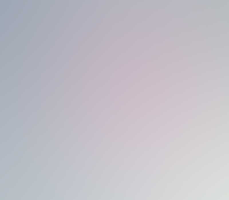 Jessica Wu — Fine Artist